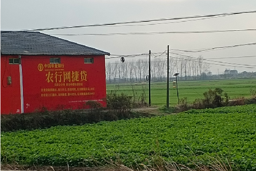 田林如何防止墙体广告褪色呢？