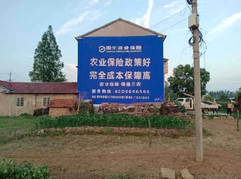 田林墙体广告为何受追捧？