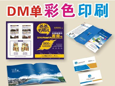 田林单页印刷,色彩搭配简单。